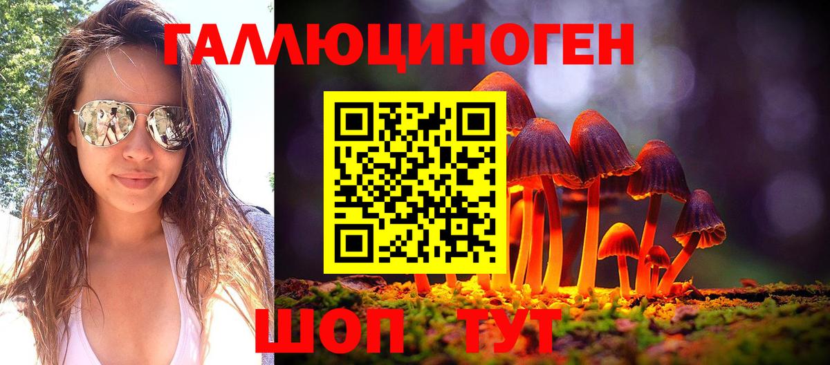 Зеленодольск  Псилоцибиновые грибы мицелий  купить наркотик  Вход с VPN  Псилоцибиновые грибы Psilocybine cubensis 
